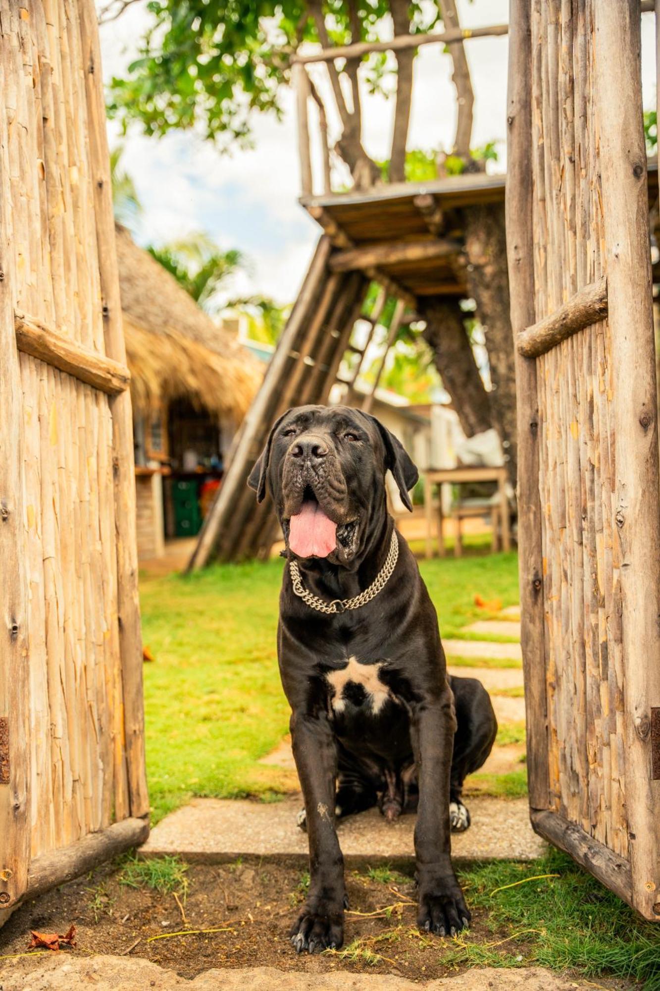 Jakes On The Beach Las Penitas Ngoại thất bức ảnh